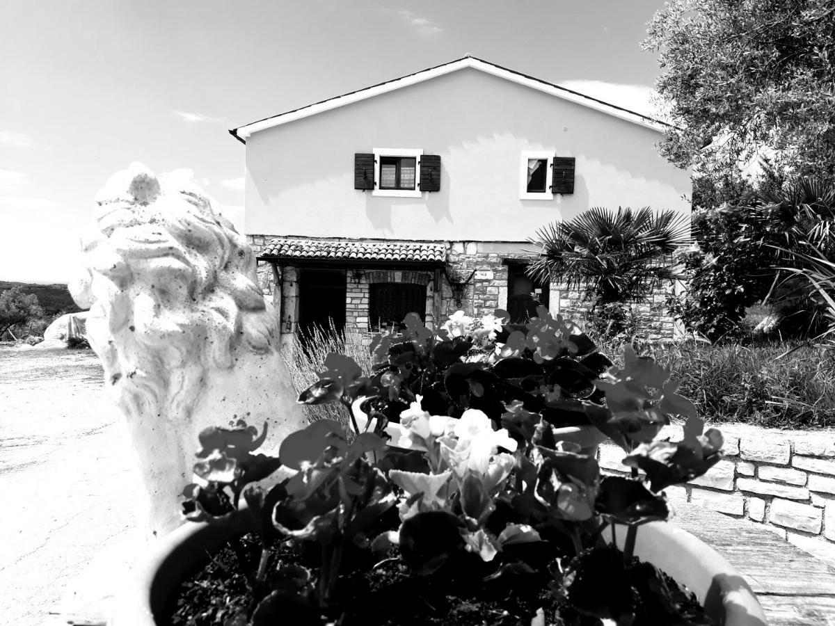Rooms Agroturizam Romano Buje Ngoại thất bức ảnh